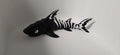 Black and white articulated skeleton shark