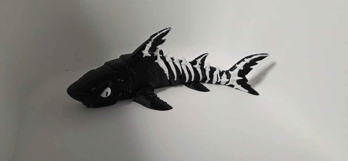 Black and white articulated skeleton shark
