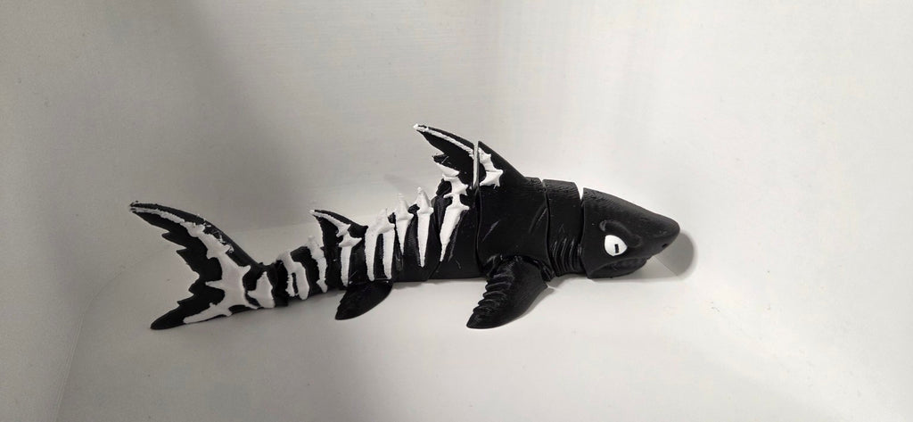 Opposite side of skeleton shark