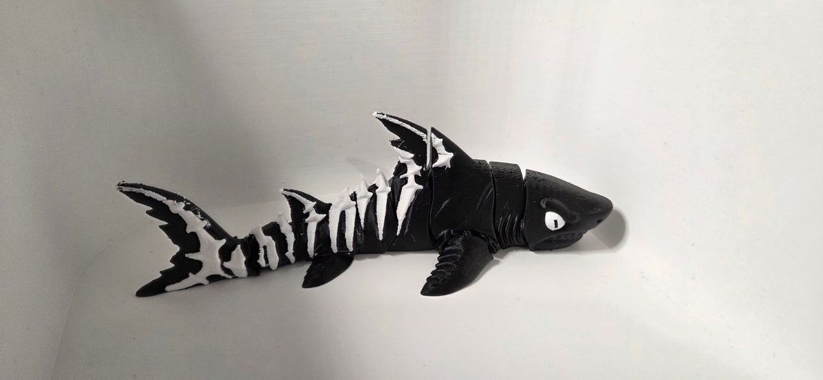 Opposite side of skeleton shark
